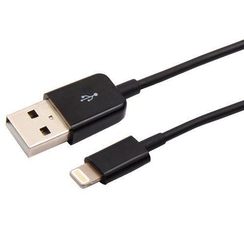 Champion Charge & Sync Lightning Cable 1