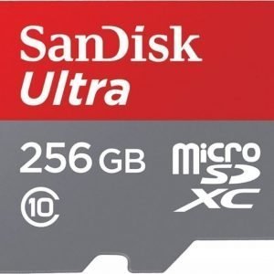 SanDisk Ultra microSDHC 32GB