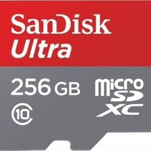 SanDisk Ultra microSDXC 256GB