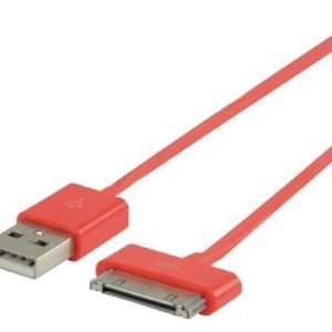 USB synkronointi- ja latauskaapeli 30-napainen telakka uros USB A uros 2 00 m punainen