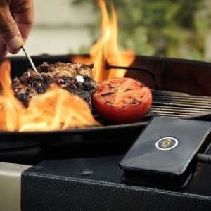WeGrill One Grill Thermometer