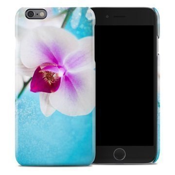 iPhone 6 / 6S DecalGirl Cover Eva's Flower