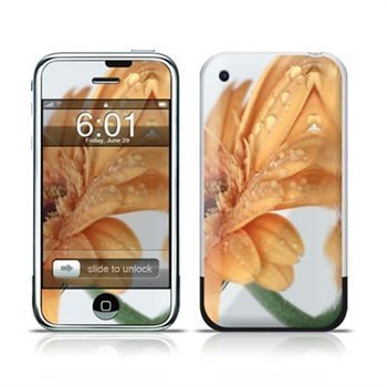 iPhone Golden Gerbera Skin